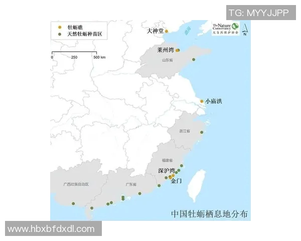 雄鹿栖息地的生态演变与保护现状分析探讨